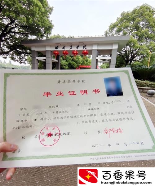 毕业证书丢了怎么办
