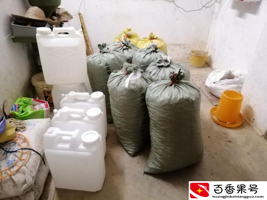 开小型榨油厂一年能挣多少钱