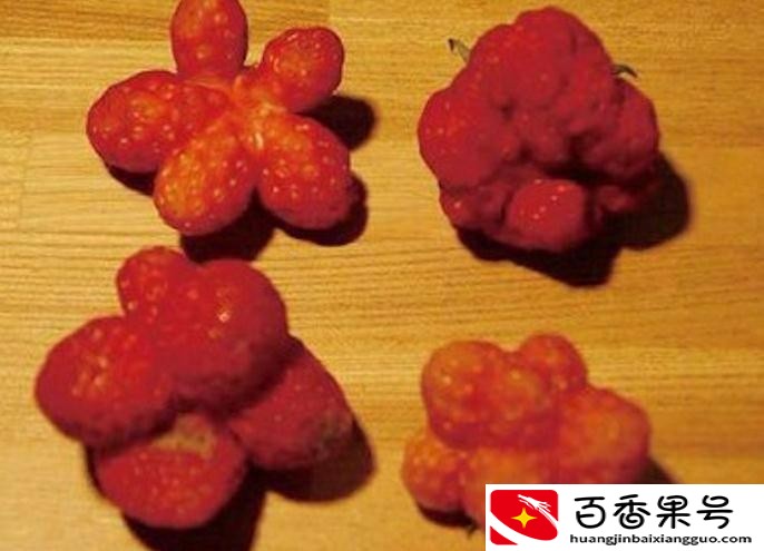 核辐射致死原理？核辐射为什么会致人死亡？