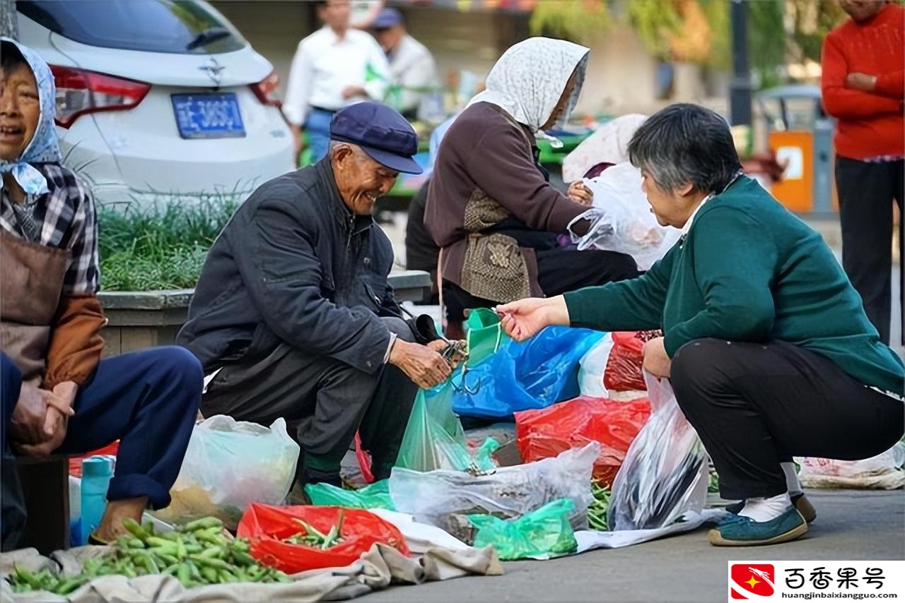 卖菜一年能挣多少钱？卖菜一天能赚多少钱？