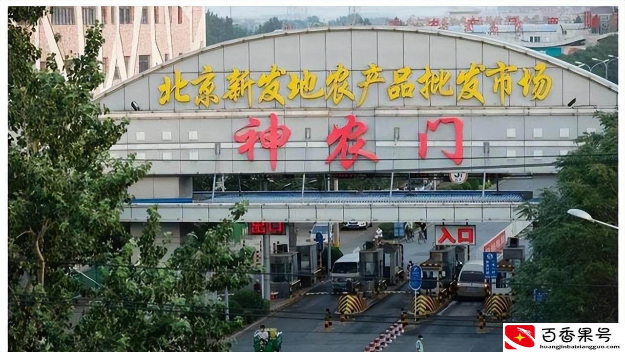 卖菜一年能挣多少钱？卖菜一天能赚多少钱？