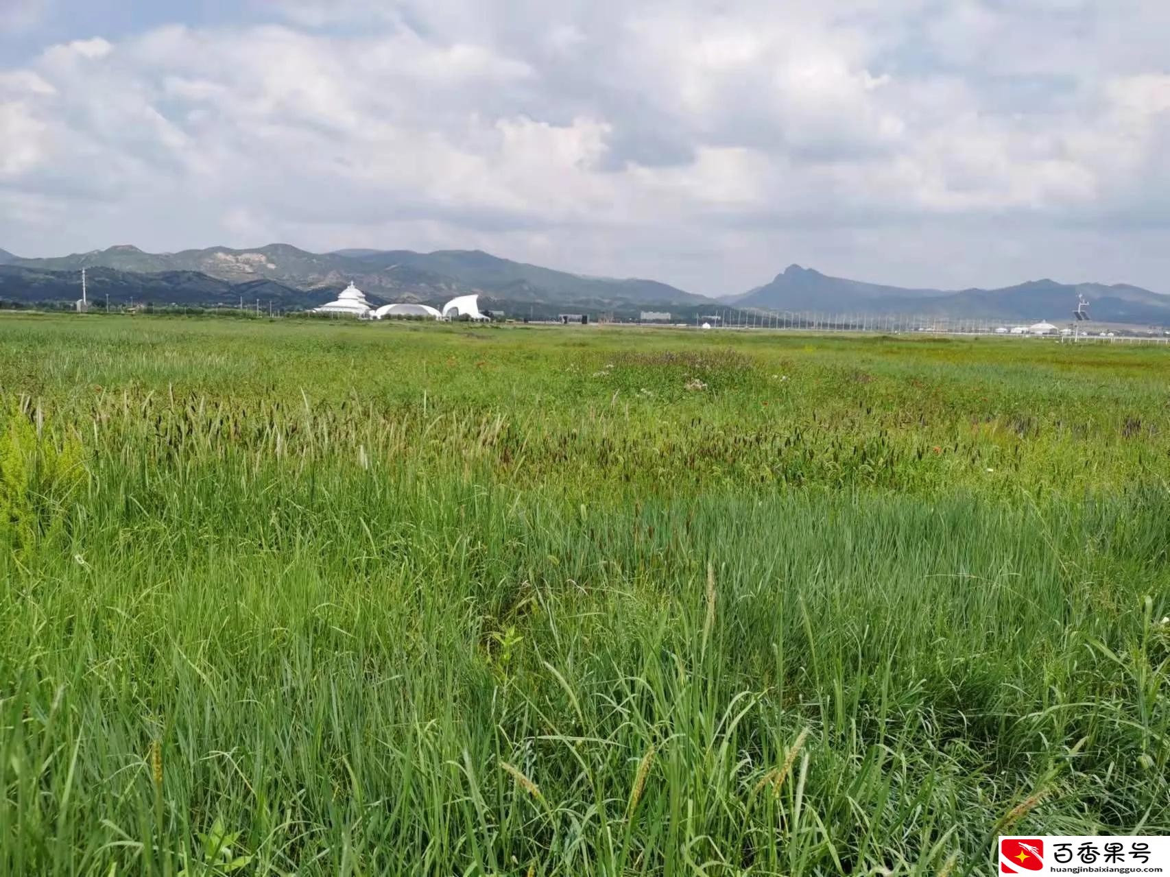呼市人为什么惹人讨厌