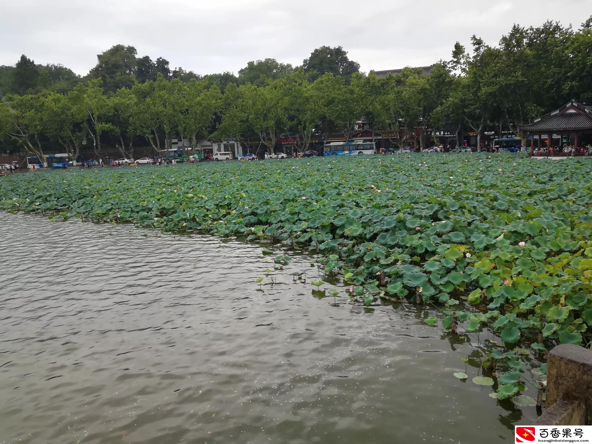 浙江人为什么惹人讨厌