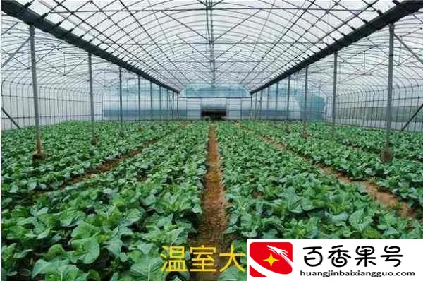 黑龙江齐齐哈尔很穷吗