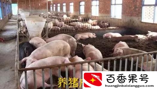 黑龙江齐齐哈尔很穷吗