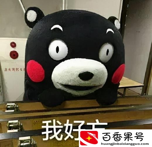 五险一金坑了多少人