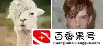 山东菏泽哪里最穷