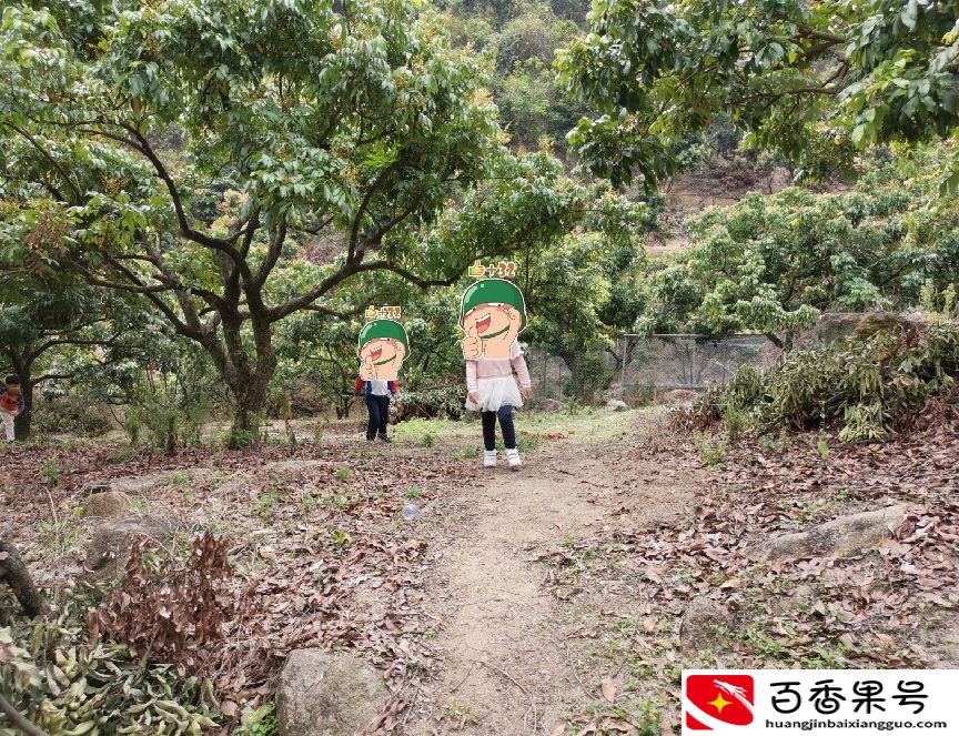深圳羊台山最佳登山路线