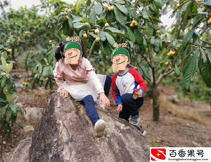深圳羊台山最佳登山路线