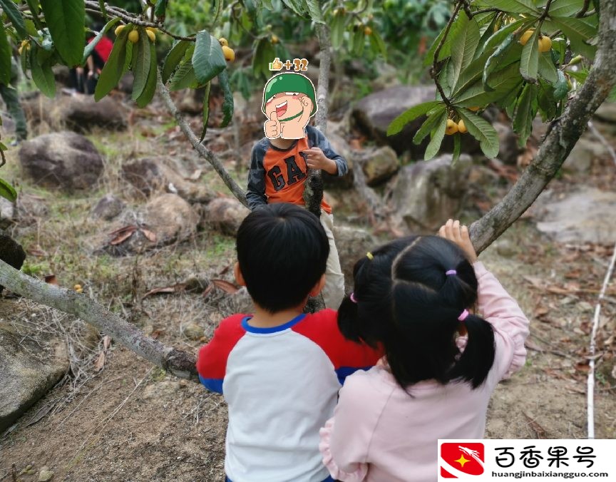深圳羊台山最佳登山路线