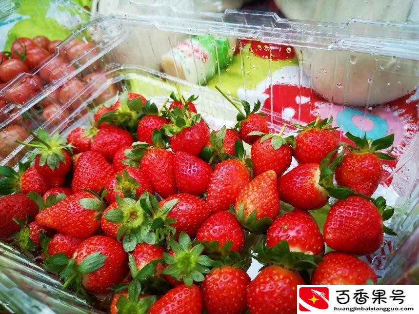 深圳羊台山最佳登山路线