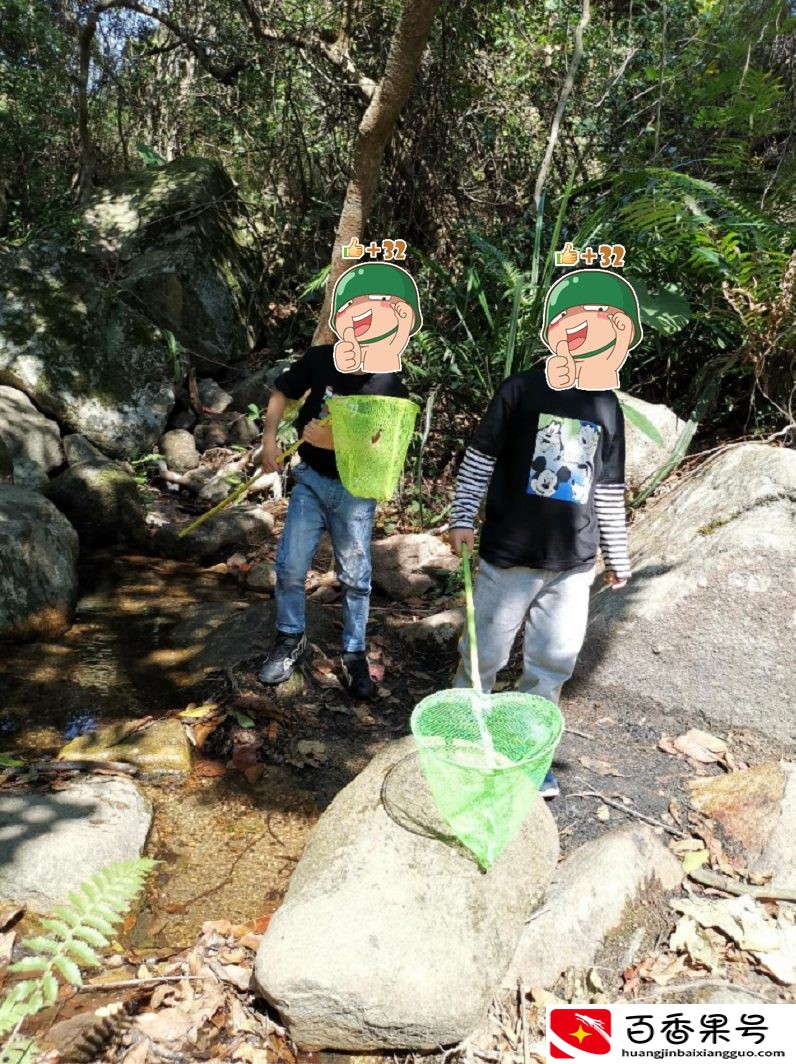 深圳羊台山最佳登山路线