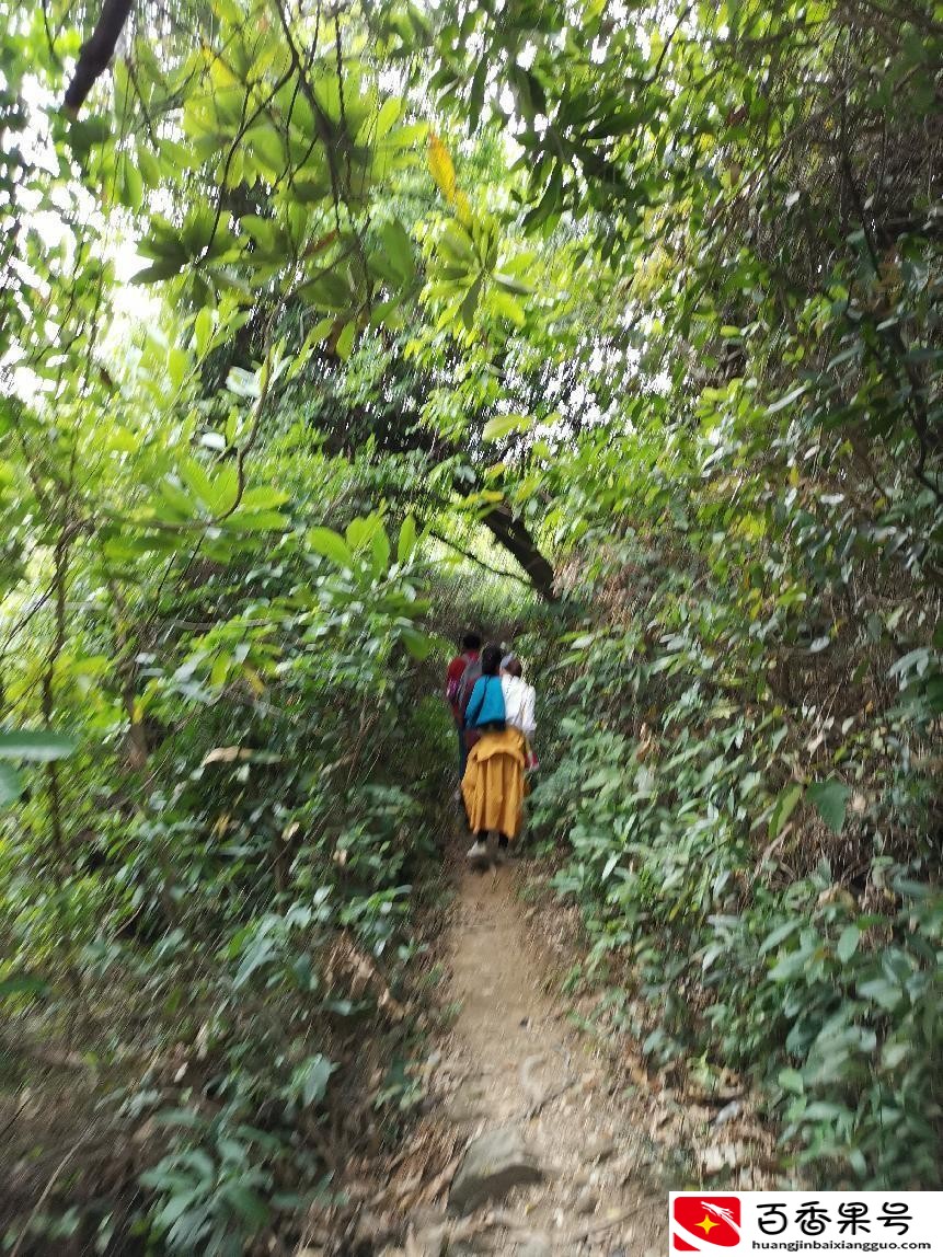 深圳羊台山最佳登山路线