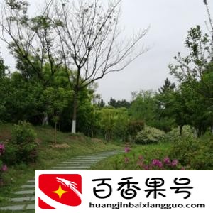 逆袭是什么意思