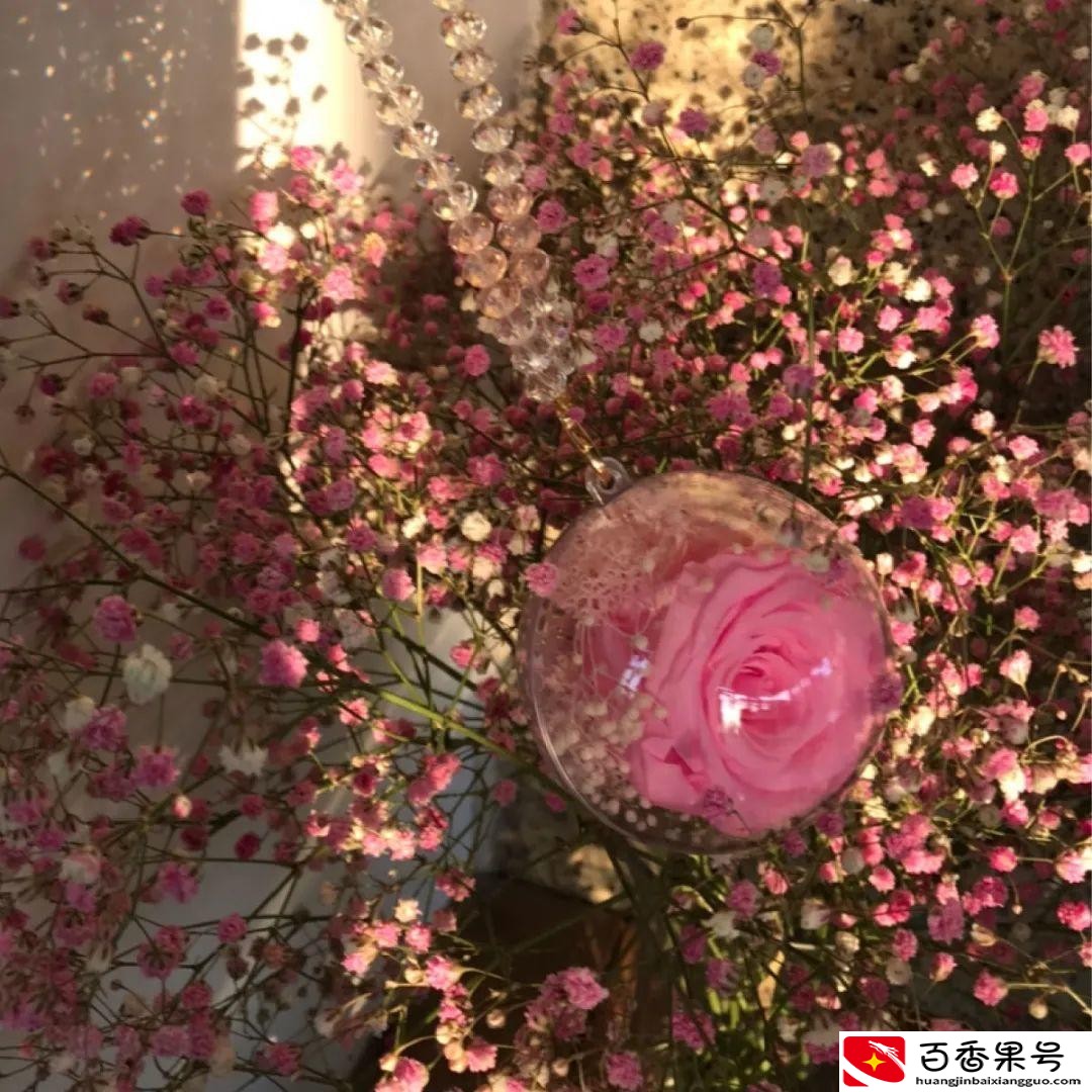 制作干花是晒干还是阴干