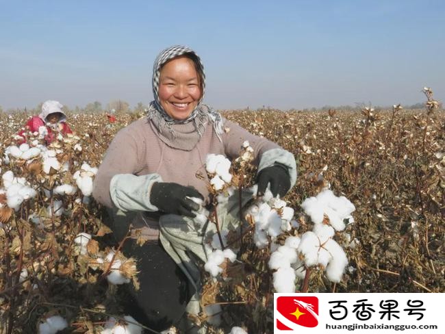 人民币的原材料是什么
