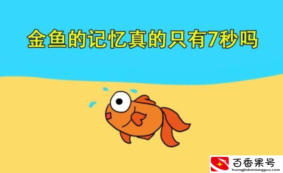 金鱼的记忆是多少秒