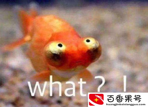 金鱼的记忆是多少秒