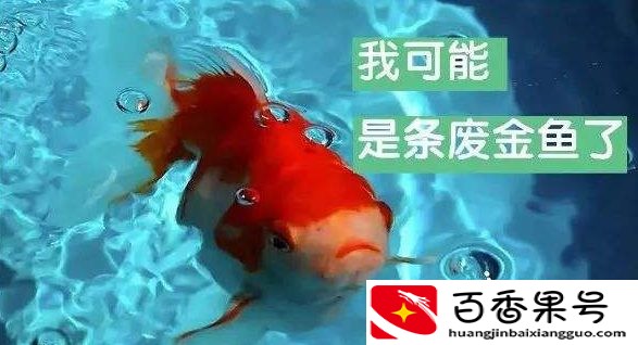 金鱼的记忆是多少秒