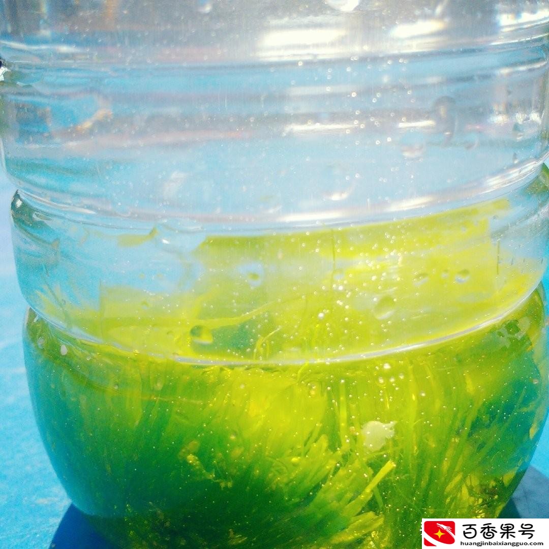 广东汕尾是不是很穷