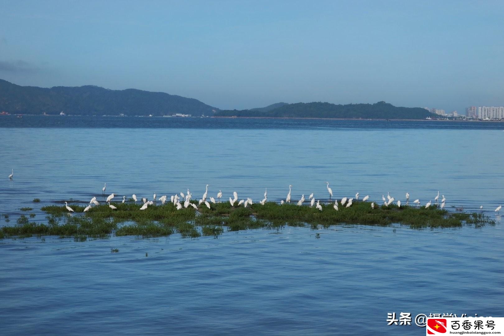 广东汕尾是不是很穷