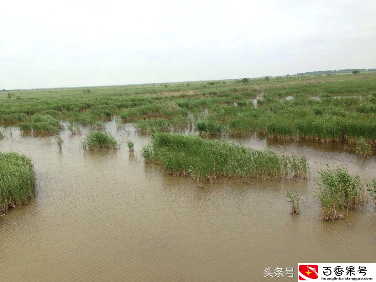 盐城为什么叫盐城