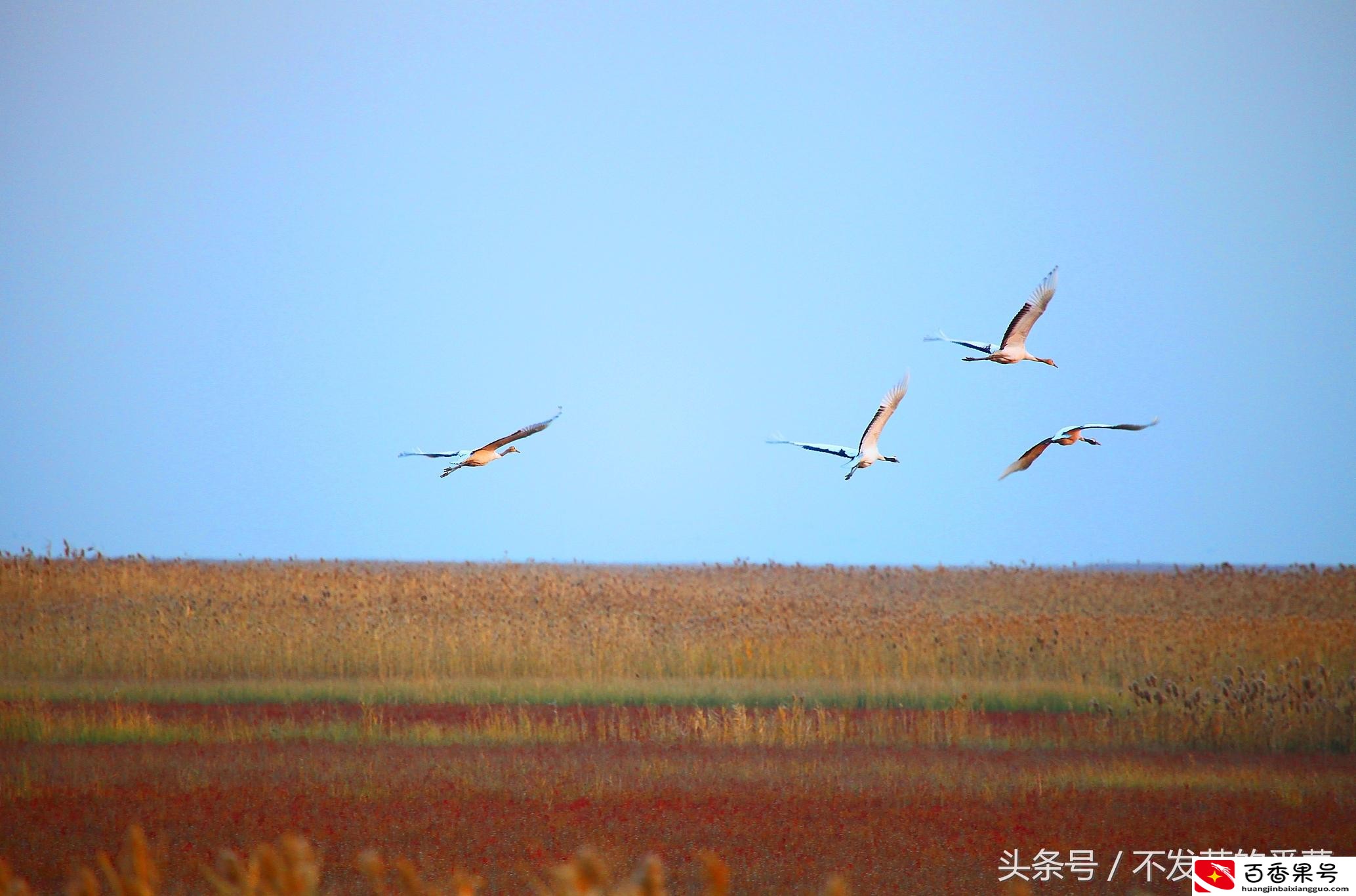 盐城为什么叫盐城