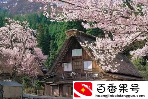 怎样打招呼才更吸引人