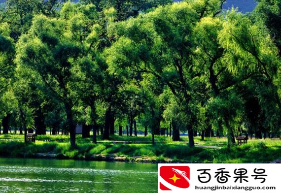 怎样打招呼才更吸引人