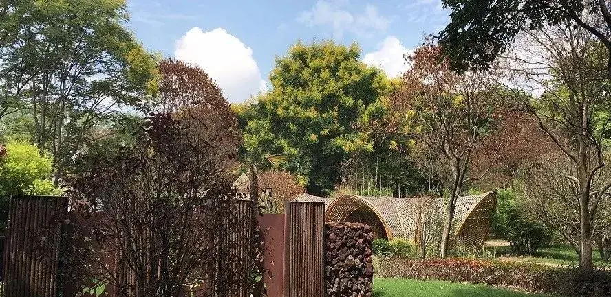水能是低碳能源吗