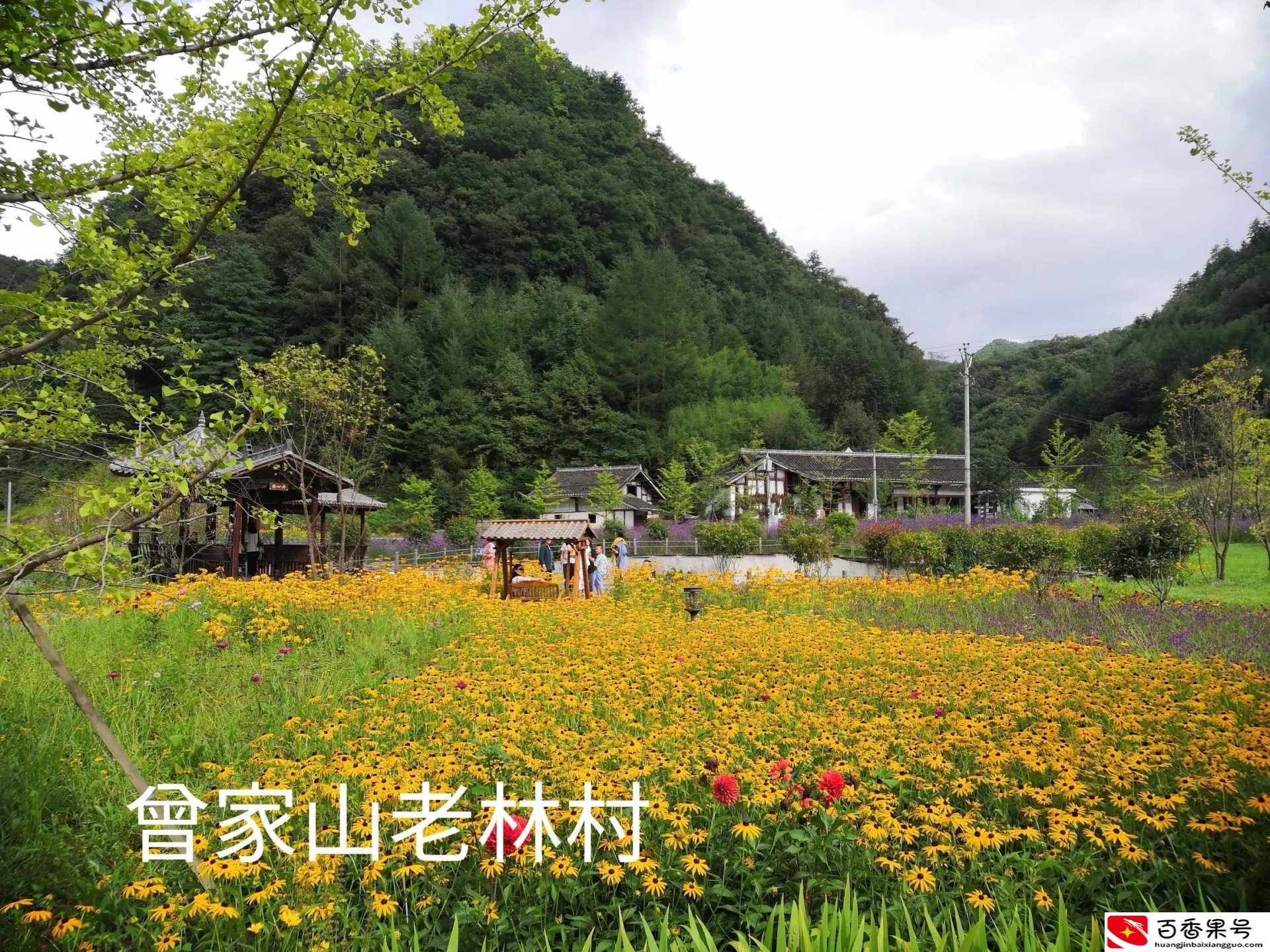 广元是不是四川最穷的