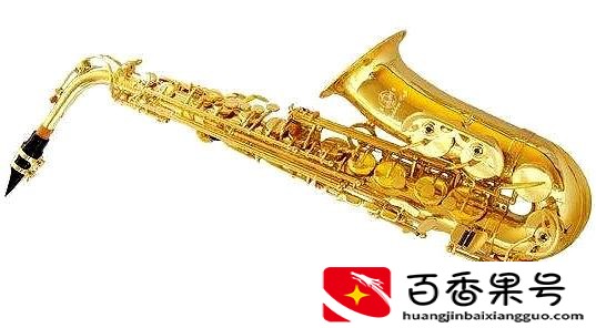 萨克斯好学吗