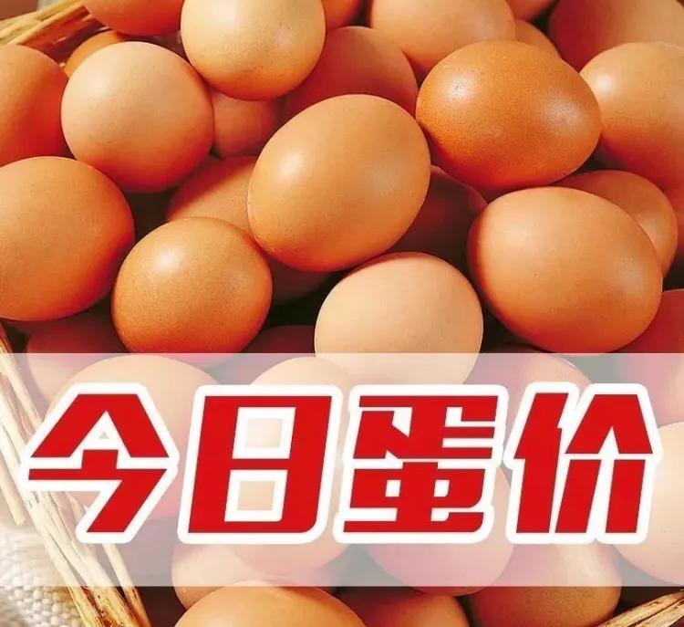 土鸡蛋和草鸡蛋哪个好