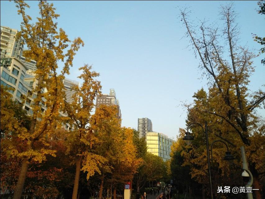 为什么聪明人一眼就能看出来