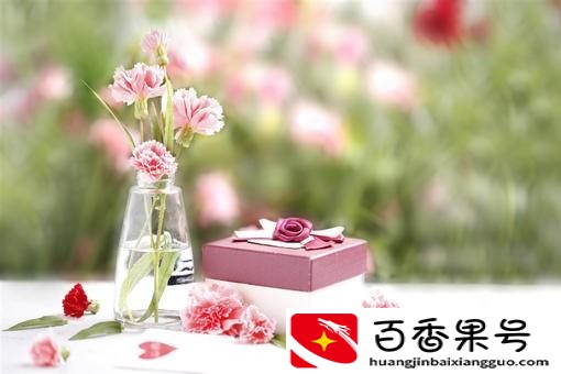 康乃馨有什么颜色