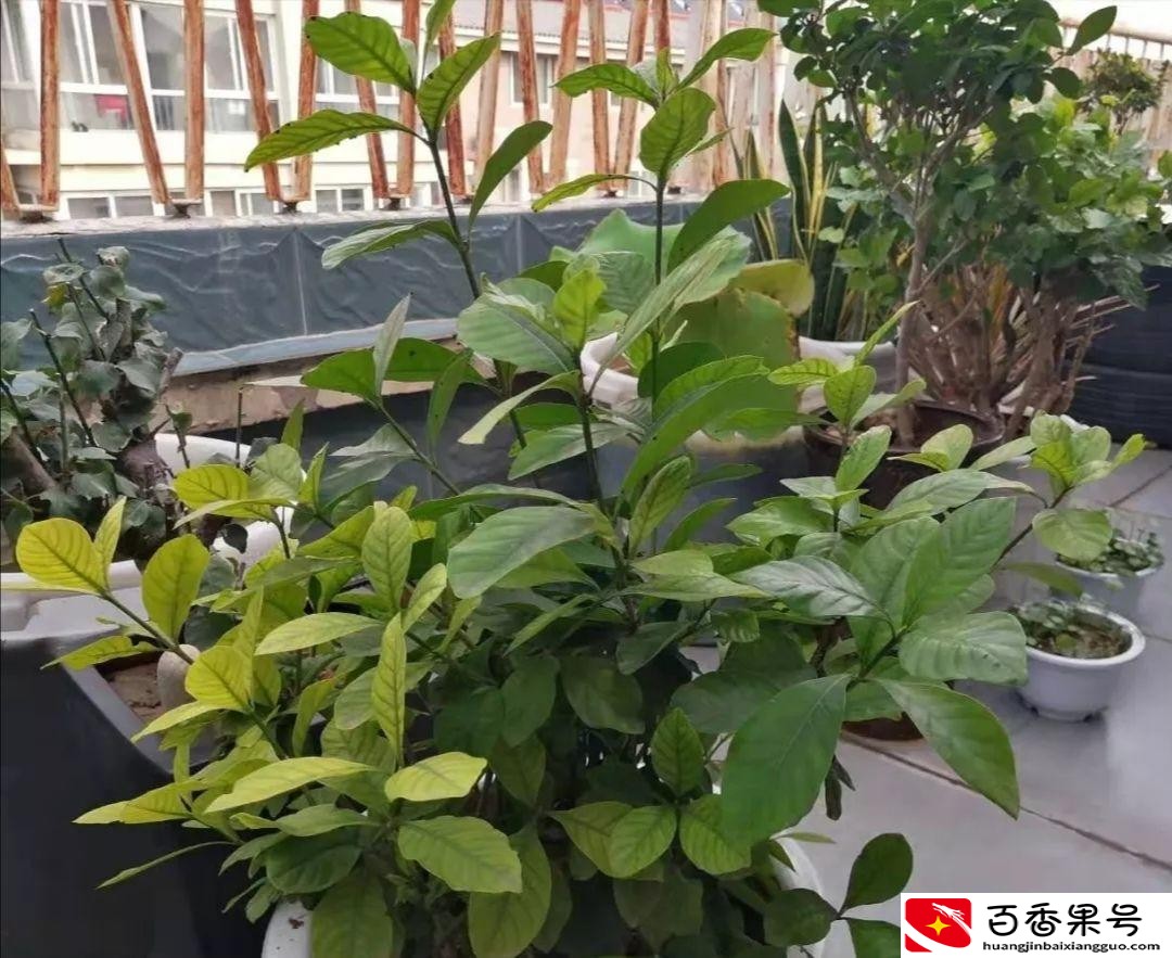收到儿子的礼物好暖心哦