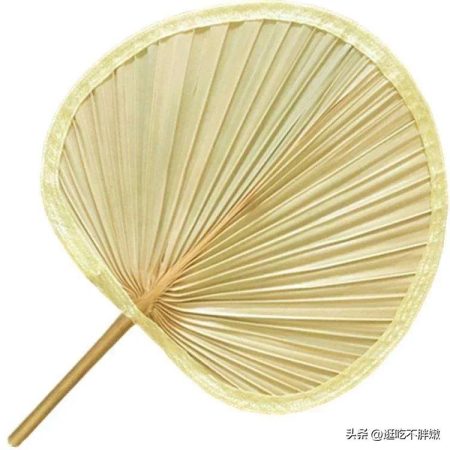 蒲扇是什么叶子做的