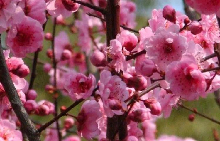 未满16岁怎么赚钱