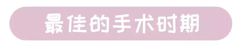 猫为什么要绝育