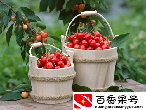 樱桃可以放冰箱吗？樱桃保存方法以及温度？