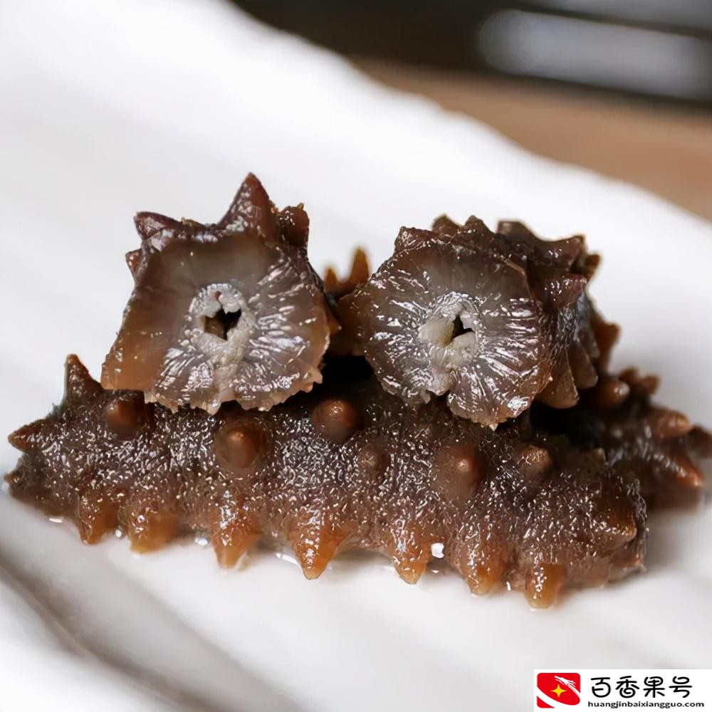 海参的好坏如何鉴别