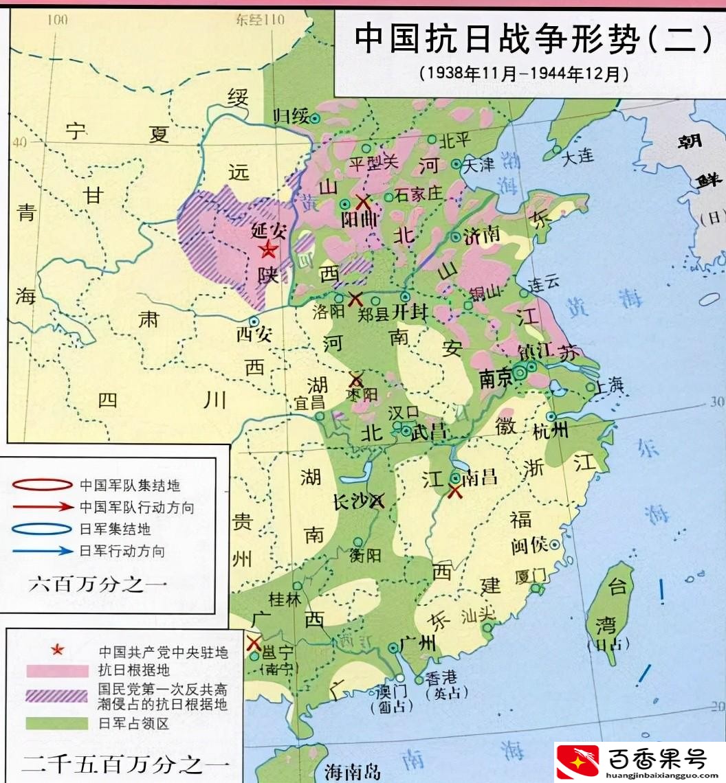 熊猫的特点和生活特征有哪些
