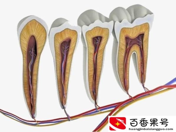 烂牙根拔了太舒服了