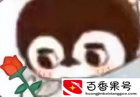 电脑打字没有选字框怎么办