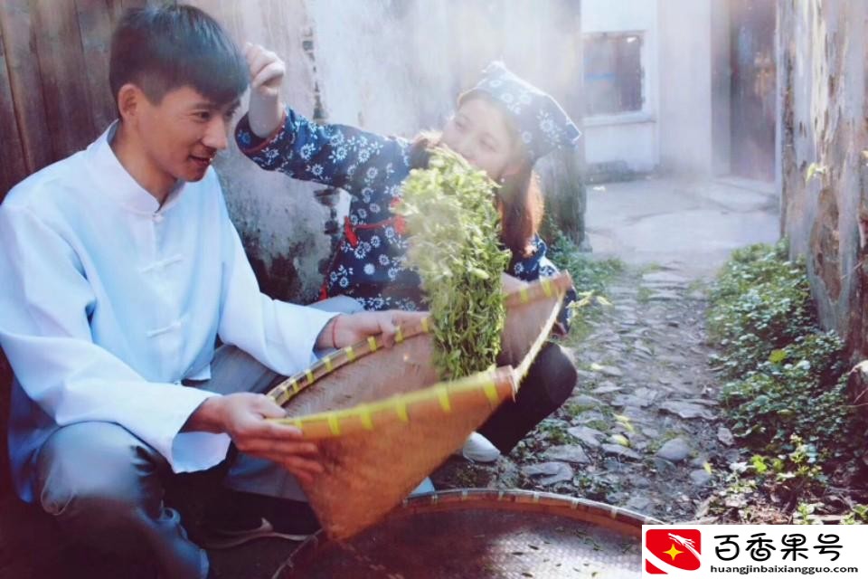 为什么喝碧螺春的越来越少了