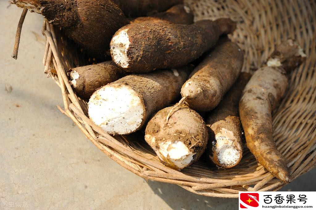 珍珠奶茶的珍珠是什么材料做的