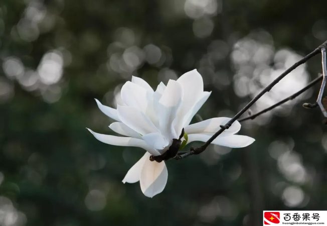 高中生沉迷哔哩哔哩怎么办