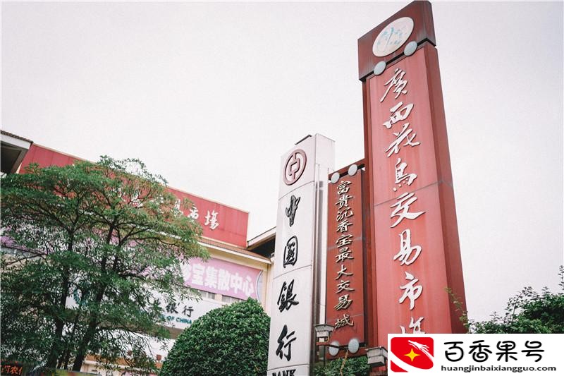南宁最大的花鸟市场在哪里