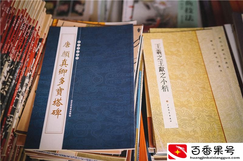 南宁最大的花鸟市场在哪里
