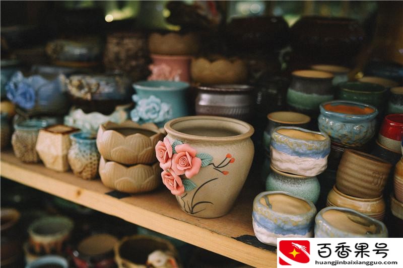 南宁最大的花鸟市场在哪里